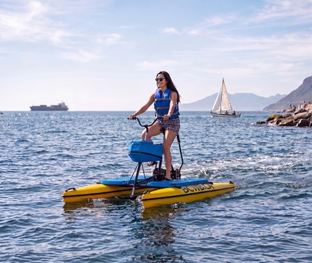 Premium Schiller Water Bike - The Stylish One