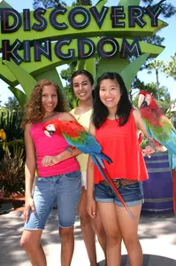 FLASH SALE! Six Flags Discovery Kingdom Single Day Tickets – 51% Off