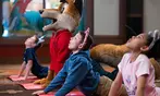 Great Wolf Lodge Atlanta Indoor Water Park Resort