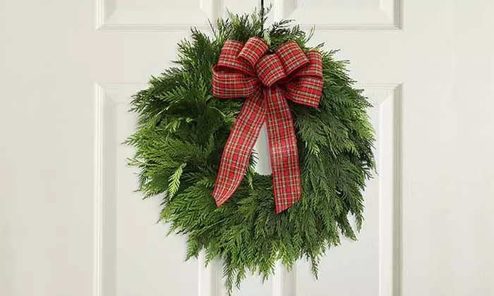 Christmas Décor & Plant Gifts FTD.com Same-Day Delivery Up to 50% Off