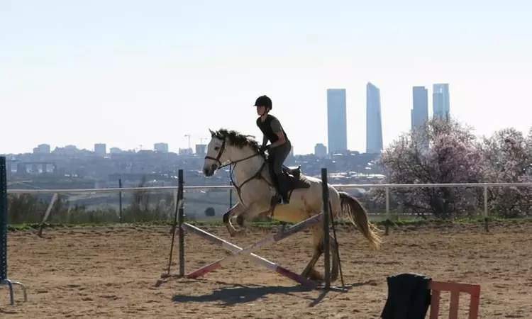 Paseo a caballo con todo el material incluido para 1 o 2 personas
