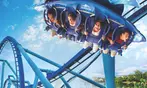 END OF SUMMER SALE! Save 59%! SeaWorld Orlando Tickets