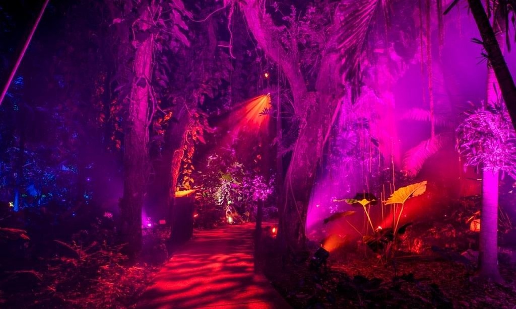 Explore Dazzling Light Displays at The Night Garden in Miami