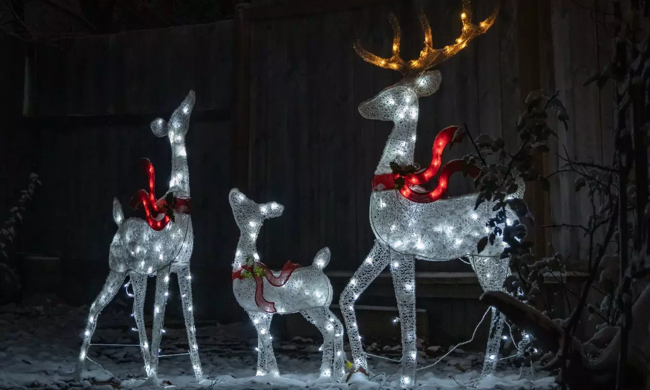 Experience the Knights of Lights with Adult or Child Admission Passes