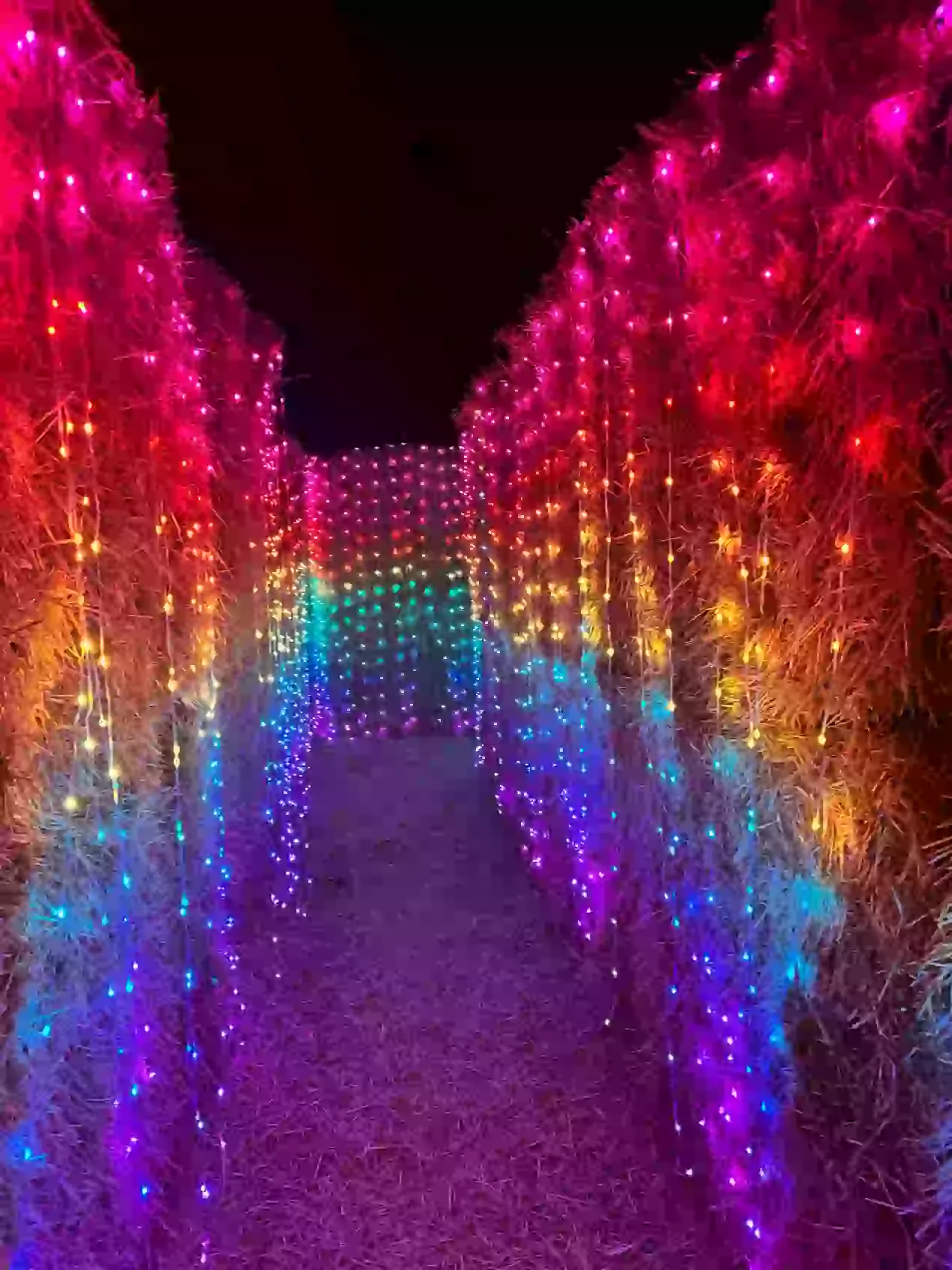 Lost in Christmas Admission to Shindig Farms