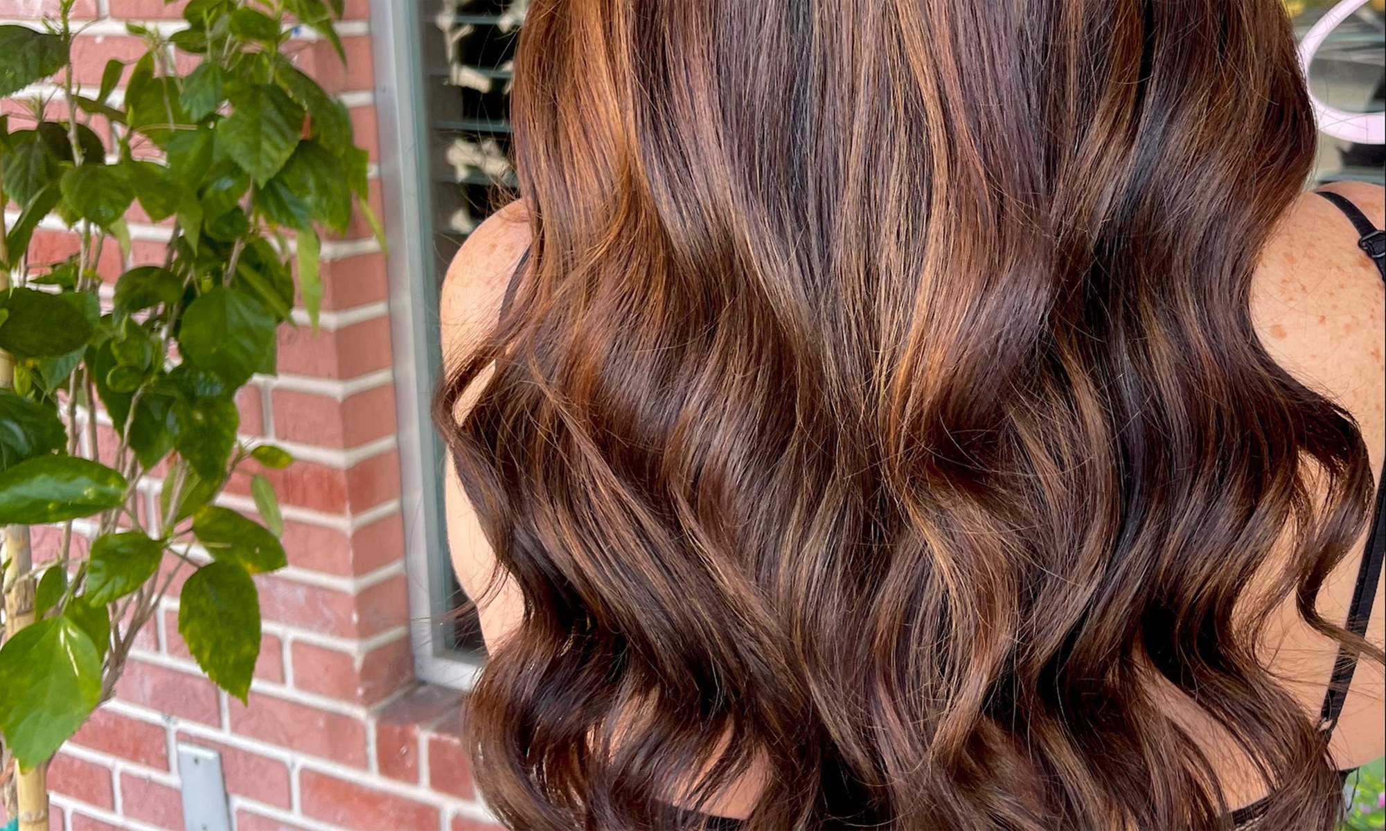 Revitalize with Deep Conditioning treatment, scalp massage, & Haircut