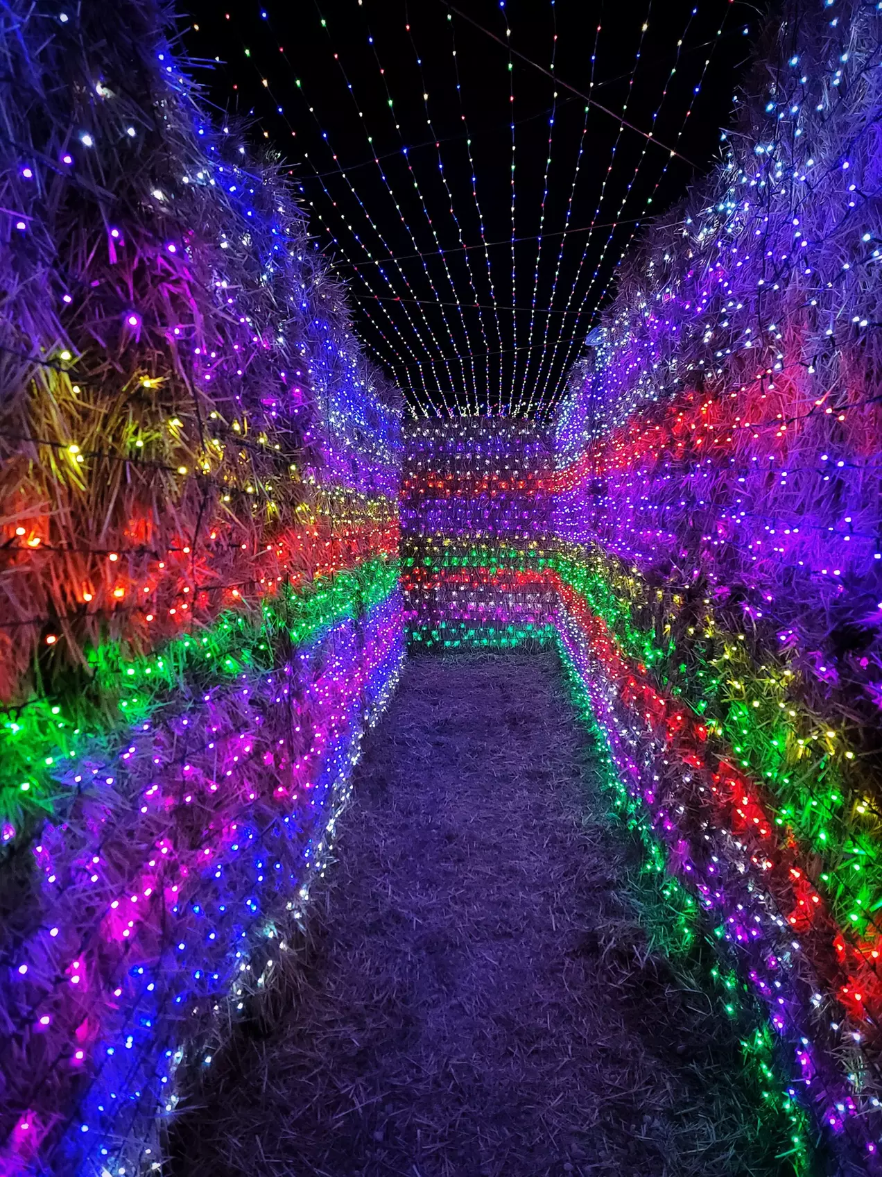 Lost in Christmas Admission to Shindig Farms