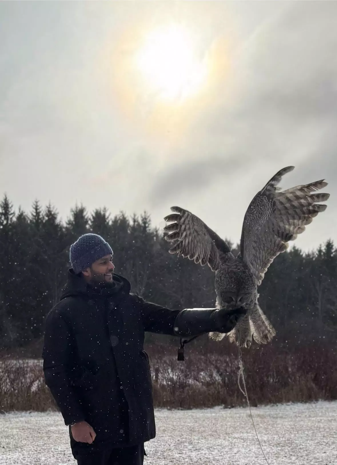 Get Hooked on Hawks: Falconry Fun for 1, 2, or 4 People at Hawkeye.ca