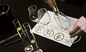 Dégustation ou assemblage de vin au chanvre dans un chai avec Brume (vin + chanvre) (jusqu'à 28% de remise)