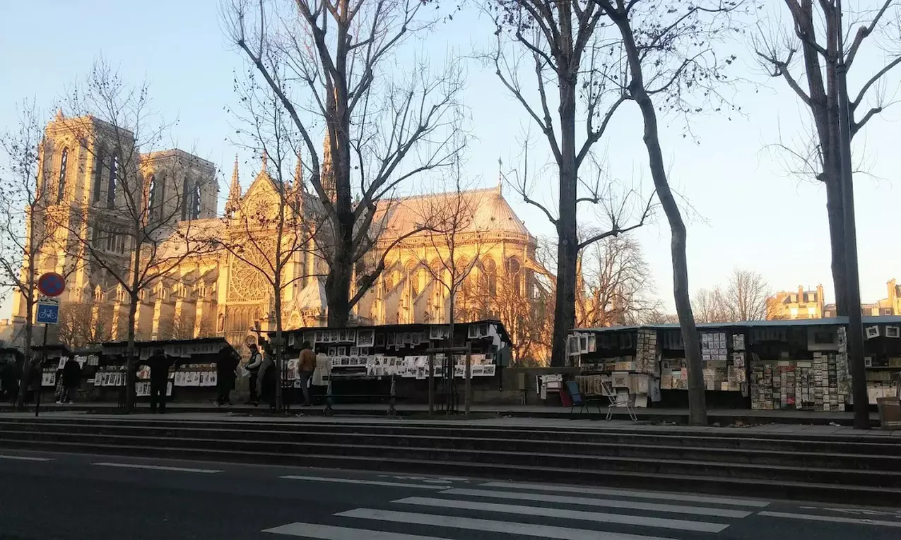 L'Auberge Notre-Dame : menu cuisses de grenouilles et gratin