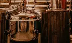4-Sampler Moonshine Tasting or Proof Jar at 3 Hundred Days Distilling