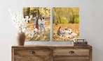 Get Professional Photo Canvas Printing Deals - Save 90%
