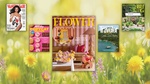 Three Magazine Subscriptions for Just $6 - Up to 88% Off!