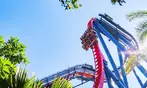 END OF SUMMER SALE! Busch Gardens Tampa Ticket Deals - Save Up to 62%