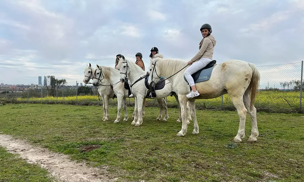 5 o 10 clases de equitación de 50 minutos para todos los niveles