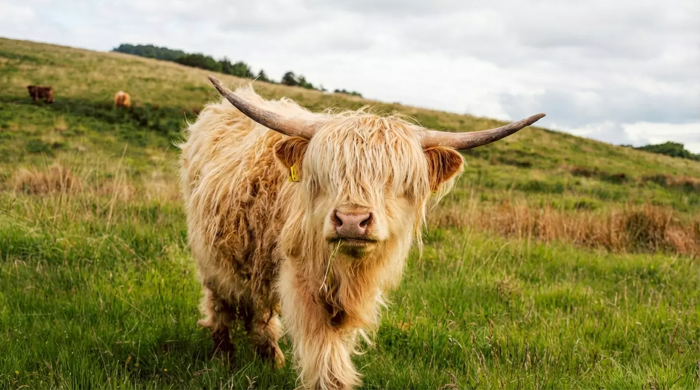 Full-Day Farm Fun: Child, Adult and Family of 5 Entry Options