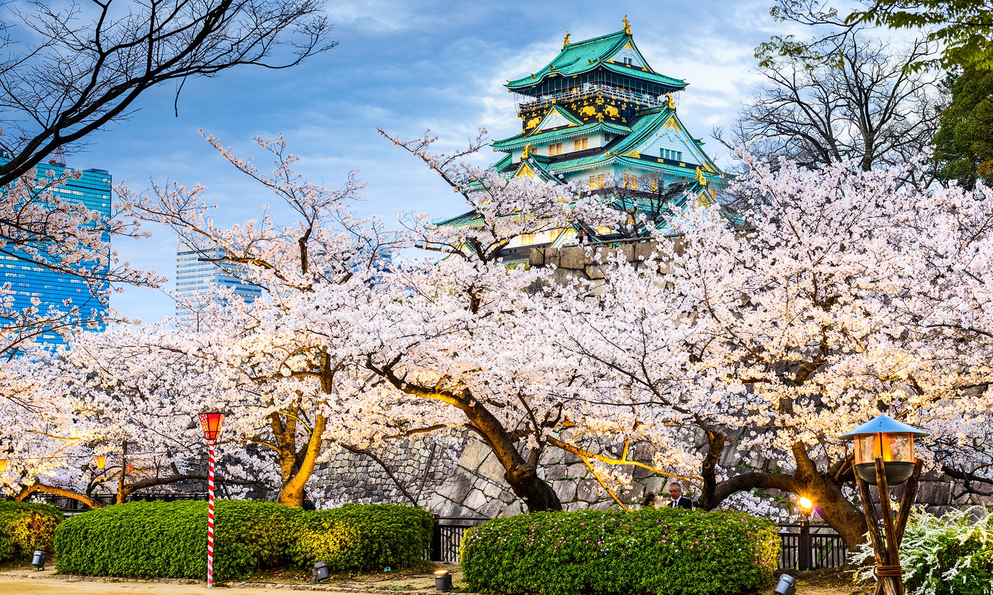 ✈ 11-Night Japan & Korea Vacation with Air from TripToGo