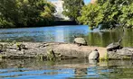 Prime Location Adventure with 2-Hour Guided Themed Kayak Tours