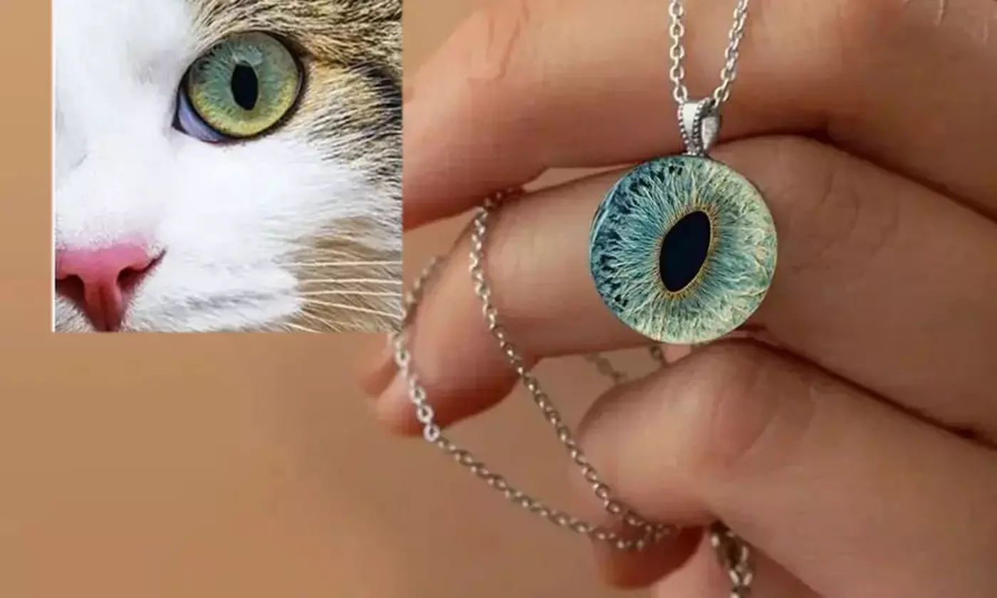 Iris-Fotografie: Datei, Poster, Canvas, Halskette oder Whiskey-Spender