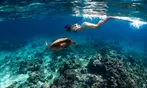 Honolulu Snorkeling Tour Deals - 3 Hour Turtle Adventure with Gear Included!