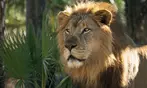 Brevard Zoo Admission & Animal Encounters, Melbourne, FL