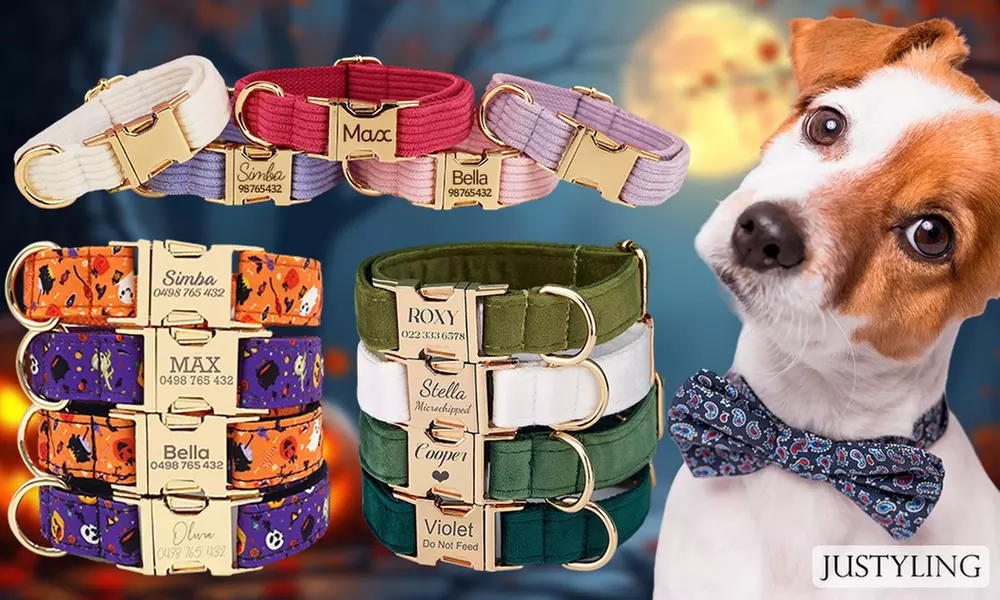 Personalisierbares Haustier-Halsband im Halloween-Design