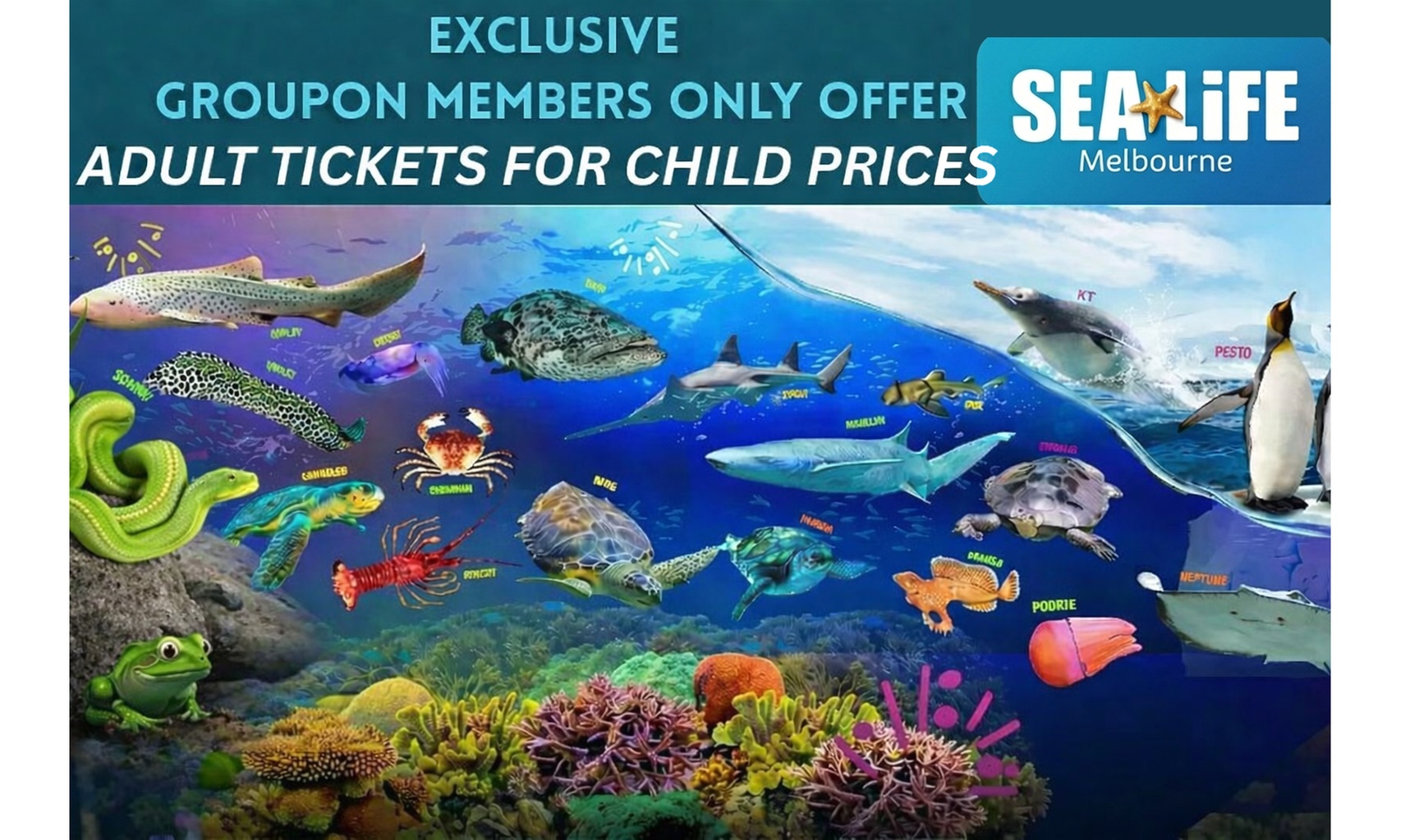 Sea Life Melbourne Aquarium Adult Entry At Child Prices -