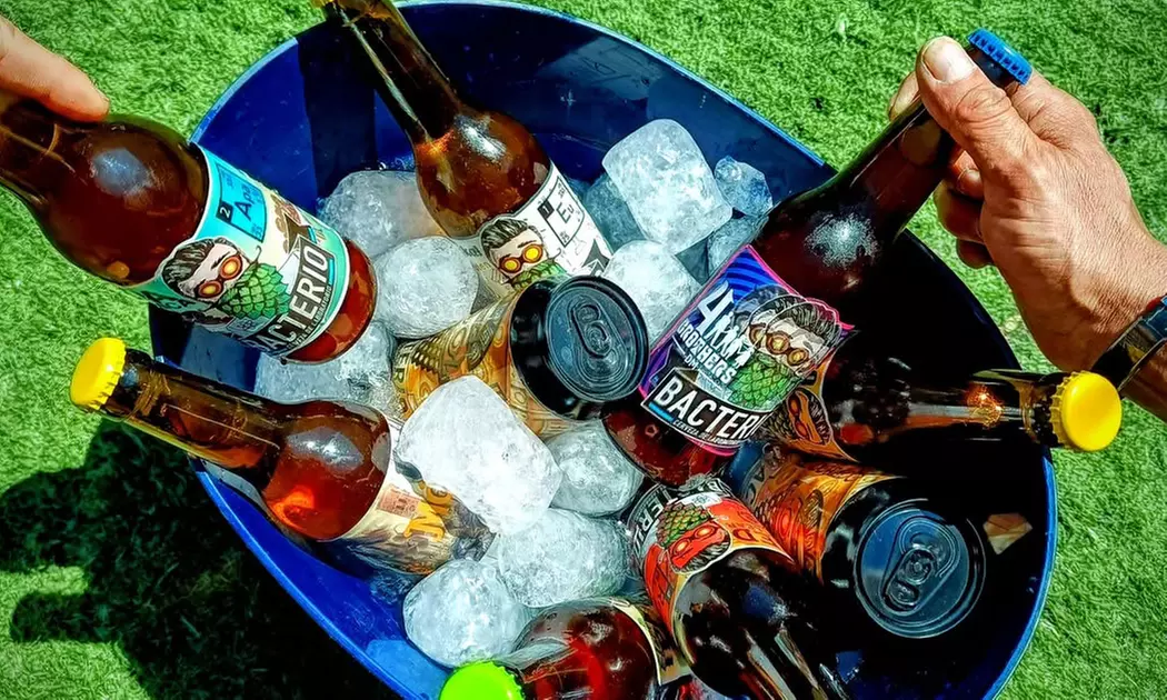 Visita guiada a bodega con cata de cervezas y maridaje para 2 o 4