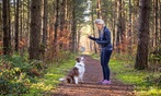 Dog Training and Online Learning Memberships