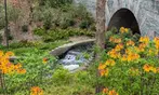 Admission to Atlanta Botanical Garden – Midtown Urban Oasis