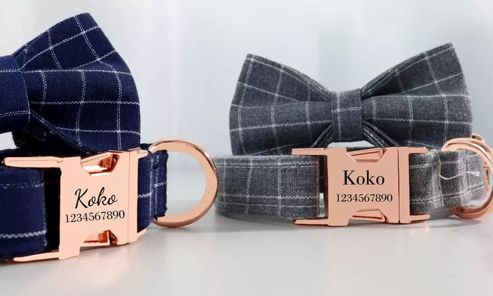 Personalisierbares Haustier-Halsband mit integriertem Namensschild