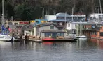 Seattle Sightseeing Cruises by Argosy Cruises