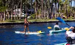 Up to 50% Off Kayak or Paddle Board Rentals in Downtown Tampa