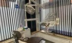 Dental Checkup, X-Ray, Scale & Polish / Professional In-Home Whitening