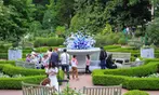 Admission to Atlanta Botanical Garden – Midtown Urban Oasis