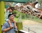 FLASH SALE! Six Flags Discovery Kingdom Single Day Tickets – 51% Off