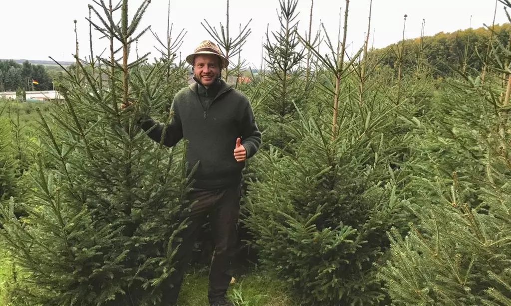 Weihnachtsbaum-Abenteuer: Blaufichte fällen & Glühwein/Punsch