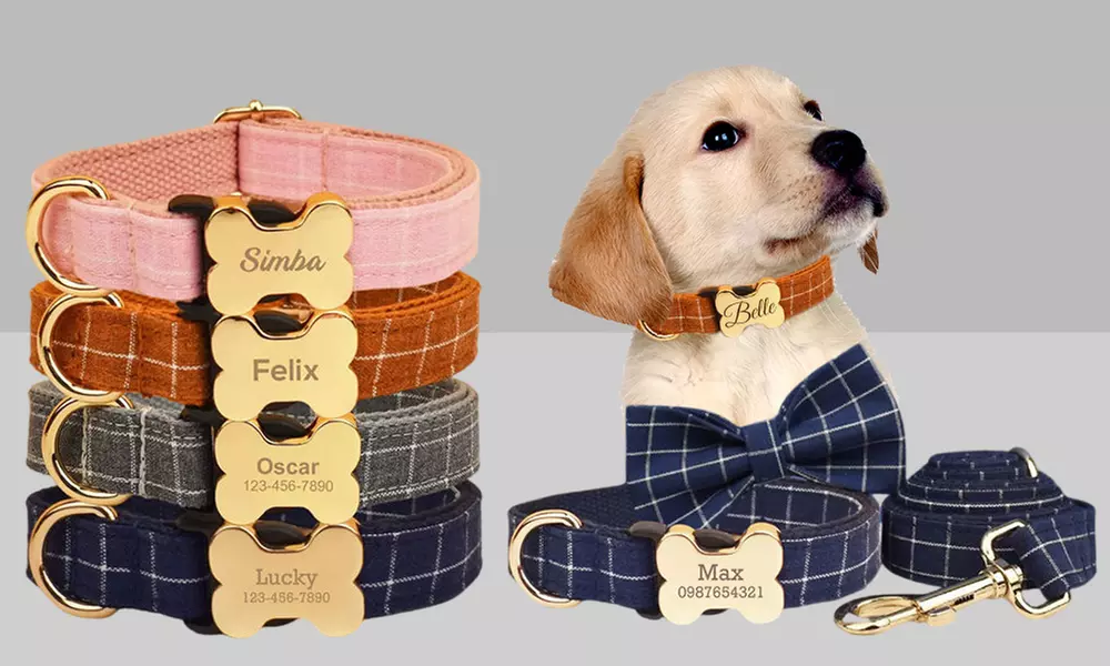 Personalisierbares Haustier-Halsband mit integriertem Namensschild