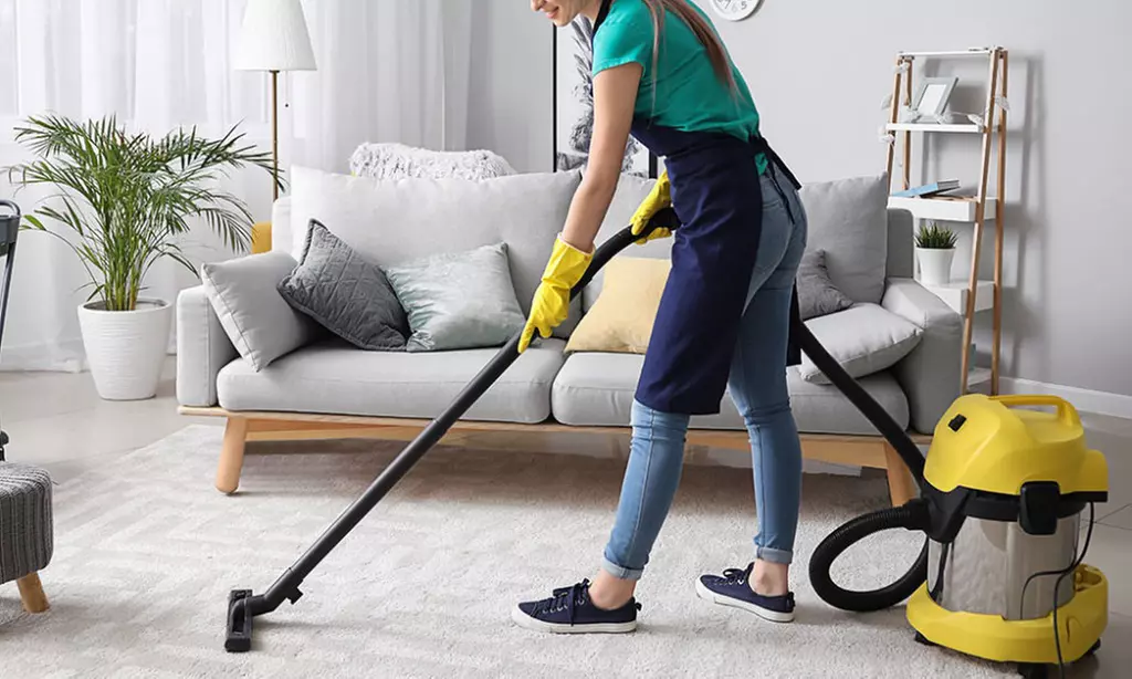 5 Man-Hours of Standard House Cleaning Service