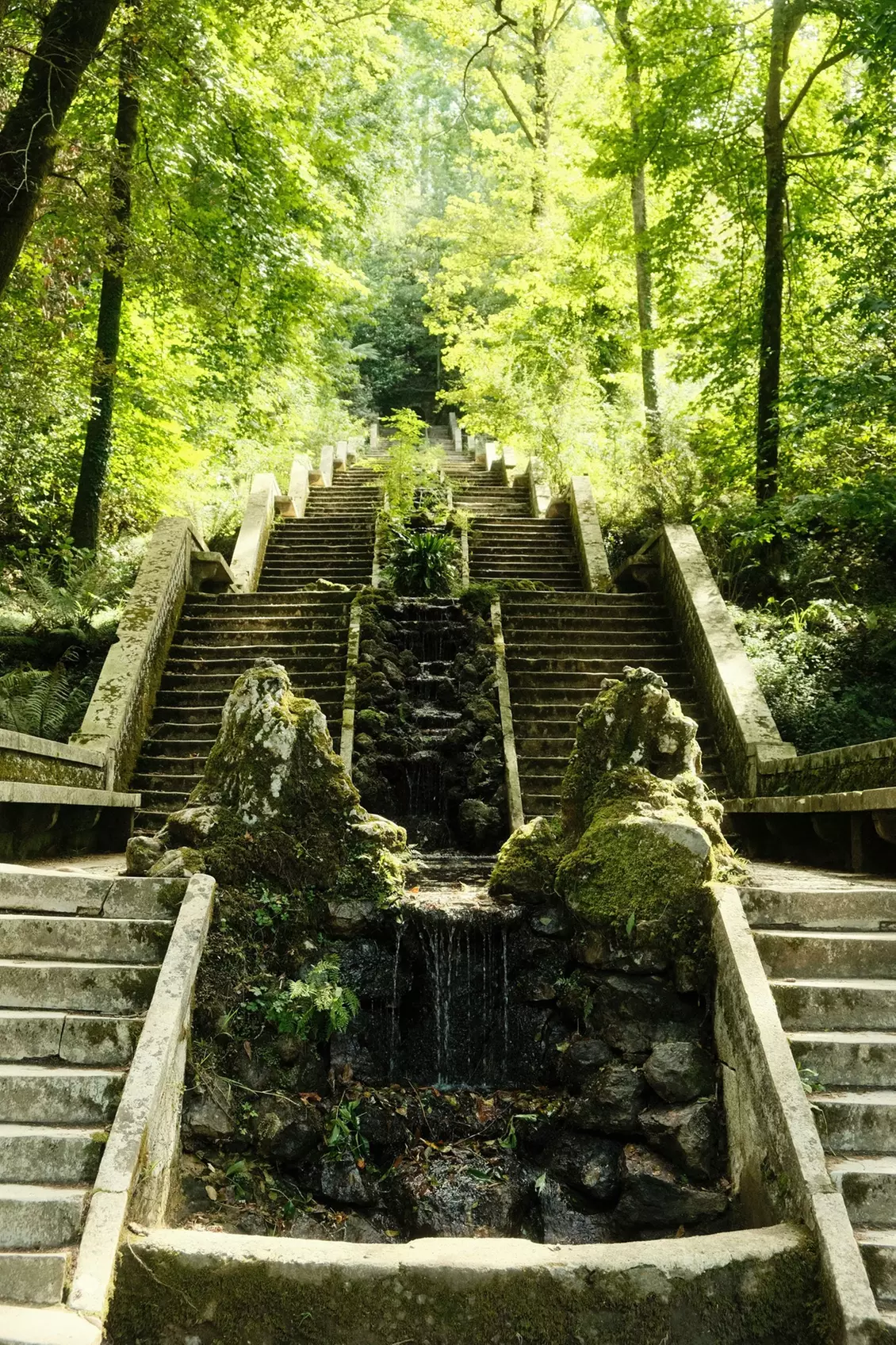 ✈ 6-Day Portugal Wine & Food RoadTrip w/ Air, Car & Hotel from Worldee