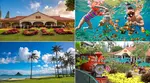 Full-Day 16-Location Oahu Circle Island and Snorkeling Tour