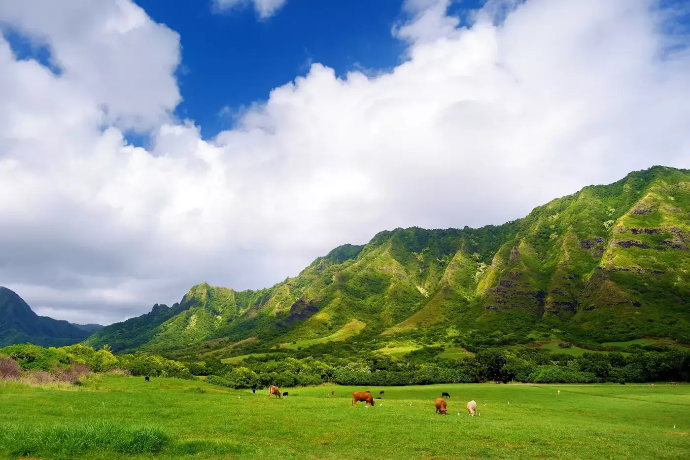 ✈ 4-Day Hawaii Vacation with Air from Great Value Vacations