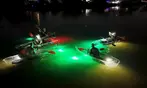 Glass Bottom Kayak LED Night Tour Deal - 75-Minute Fish Feeding Discount