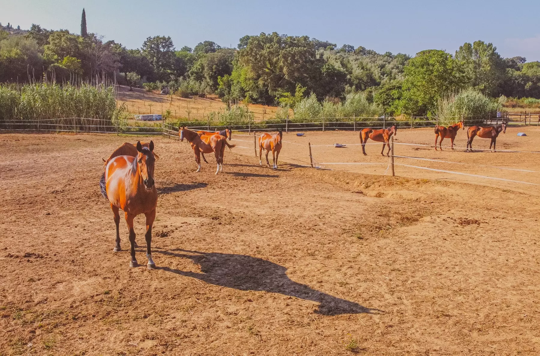 Maremma 4*: soggiorno con colazione o mezza pensione, aperitivo e Spa