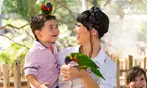 San Antonio Zoo Discount Tickets & Savings!