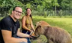 40% Off Zoo Admission or VIP Experience at Georgia Untamed Zoo