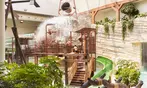 Bellewaerde Aquapark : évasion tropicale à 40 minutes de Lille
