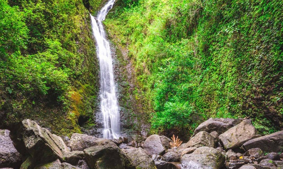 Explore Hawaii with Lemurian Tours for Kids and Adults