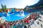 FLASH SALE! Six Flags Discovery Kingdom Single Day Tickets – 51% Off