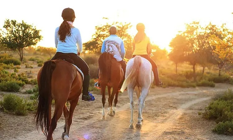 Ruta a caballo con opción a clase de iniciación para 1, 2 o 4 personas